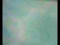 2DivesClean