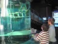 ROV Family Event 4/5/08