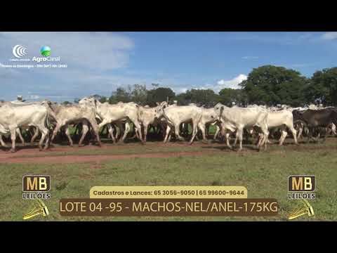 535� LEIL�O VIRTUAL MB LEIL�ES