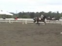 Isabel at HAP