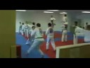 Darren Holmquist Martial Arts (Taekwondo) Reel