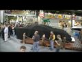 2010 COBALT A25 World Premiere at Tulsa Boat Show