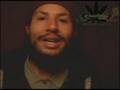 Saludo Balaguero para urbanreggae.cl