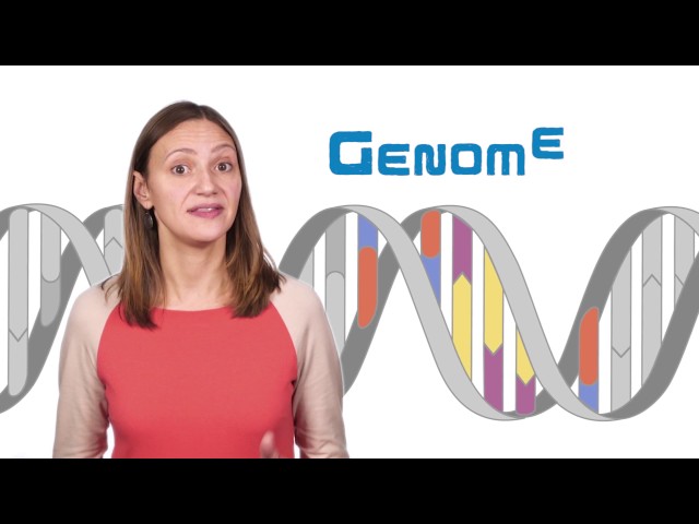 Genetics and Genomics - GY321
