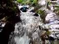 白神山地 Shirakami-sanchi canyoneering