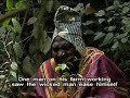 ADITU NLA (IMO)