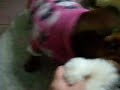 Olive's present!