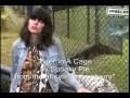 Spooky Pie - Tiger In A Cage - YouTube