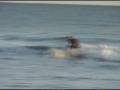 videos de 20081202-233042.MPG