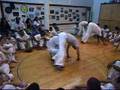 Professor Graveto, Instructor Elastico, Mestre Ombrinho