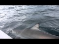Kayak Fishing