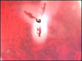 Evgeni Plushenko Stars on Ice 2006[Tosca]