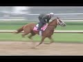 Horse Racing Version 3