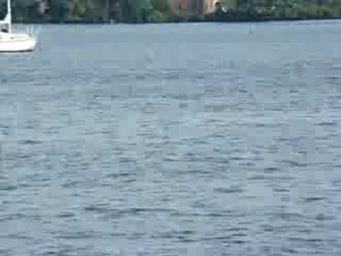 TRENT RIVER