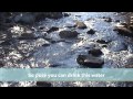 Gros Morne National Park Newfoundland Hike Easter 2011wmv