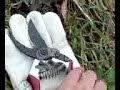 hindernisse