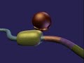 LACOPERON