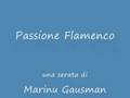 videos de passione flamenco