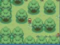 Pokemon Shiny Gold Walkthrough Part 12 Ilex Forest.