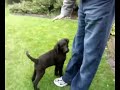 Tiny Murph!