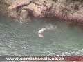 Grey Seal Pup 23rd September 06