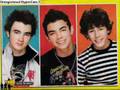 Hold On Jonas Brothers