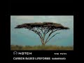 Carbon Based Lifeforms - Submerged