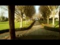 Adare