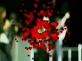 A Collection of Mavid Dances V1.0