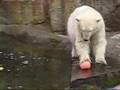 knut and the sunday show