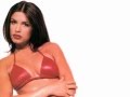 Sexy Italian Model and Actress: Elisabetta Canalis