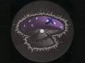 IST RECORDS 009 - Disintegrator - Zero