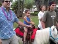 Ponies and Petting Zoo Ponies and Petting Zoo