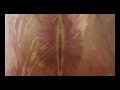 clip