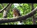 YouTube - E-P demo.mov