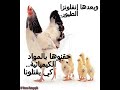 الحرب البيولوجية منتدى النافذة العمانية.wmv