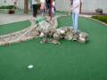 videos de Golfing Cat pt.2