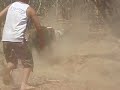 bailed boar