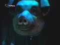 la rebelión de los chanchos
