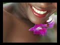 Butterfly Dreams Jamaica Video Butterfly Dreams Jamaica Video