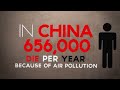 Overpopulation: A Growing Problem (Infographic)