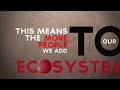 Overpopulation: A Growing Problem (Infographic)