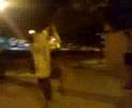 insilio belfor