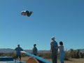 Teeterboard For Real