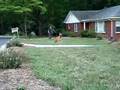 malinois k9 frisbe pup 2