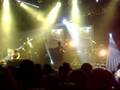 videos de Owls Cocoon Victoire 2 Montpellier