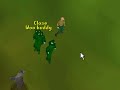 Runescape Autoer Killing Runescape Autoer Killing