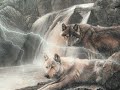 Wolfsherz - Indianer I