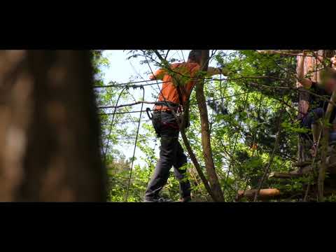 Accrobranche “Canopy en forêt”