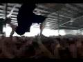 Teach you how to Mosh Pit and Stage Dive.